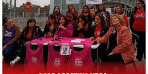 Caso Agostina Vega: reclamamos justicia y jury al fiscal Raúl Garzón