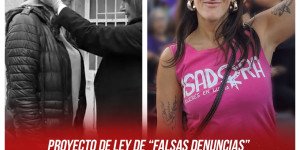 Proyecto de ley de “falsas denuncias” / De Mendieta “Quieren garantizar la impunidad de abusadores y violentos”