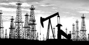 Cig�e�a extractora de petr�leo en la Patagonia