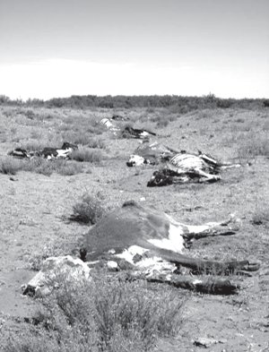 Las medidas deben ir en beneficio de los pequeos productores, no de los burgueses del campo